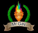 MISTER GAY WEB, IL PIÚ BELLO E' NELLA RETE - 0249 mrgay1 - Gay.it