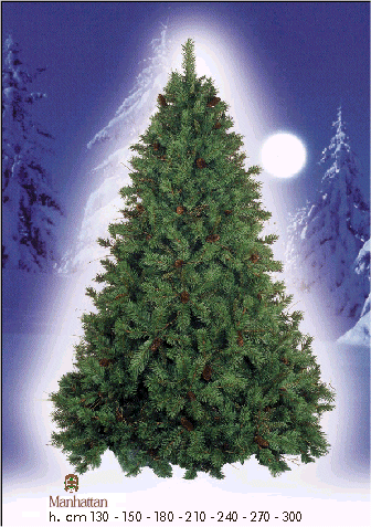 Le lesbiche preferiscono l'Albero di Natale - albero3 - Gay.it