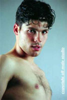 DENTRO IL PORNOGAY - allmalestudio06 - Gay.it