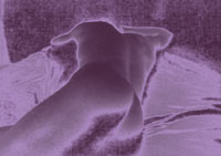 "HO DETTO NO A UN'ORGIA MORTALE" - bareback12 - Gay.it