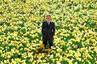 I SOGNI DIVERSI DI BIG FISH - BigFish2 - Gay.it