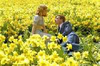 I SOGNI DIVERSI DI BIG FISH - BigFish6 - Gay.it