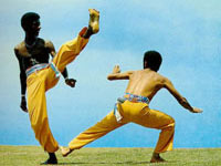 CAPOEIRA DA FITNESS - capoeira05 - Gay.it