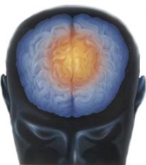 I gay usano il cervello come le donne per riconoscere i visi - cervello gayf2 - Gay.it