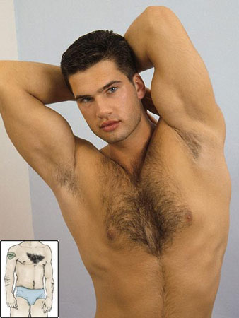 SCOPRI DI CHE PELO SEI - chest hair08 - Gay.it