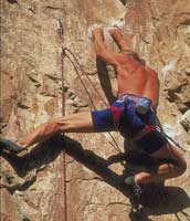 SPECIALE FITNESS FESTIVAL - climbing - Gay.it