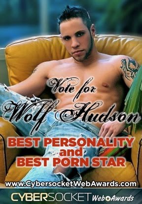 Porno premi per il web - CybersockedAwards5 - Gay.it