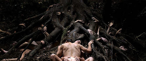 Ang Lee, Almodovar e l'ultimo Ledger per un Cannes supergay - F1Antichrist - Gay.it