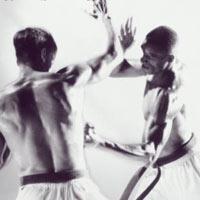 FITNESS DA COMBATTIMENTO - fitbo03 - Gay.it
