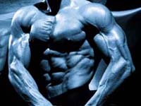 PANCIA PIATTA - fitness1 - Gay.it