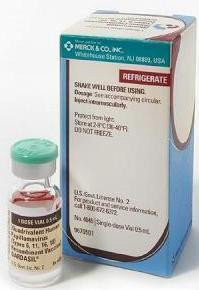 CONDILOMI ADDIO? - gardasil2007F1 - Gay.it