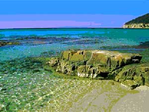 TOSCANA PRIDE NEL GAY CAMPING - gaycamping spiaggia - Gay.it