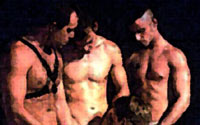 LE ORGE DEL NUOVO MILLENNIO - gruppo03 - Gay.it