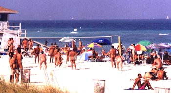 IL MITO GAY DI MIAMI - HauloverBeachBall - Gay.it