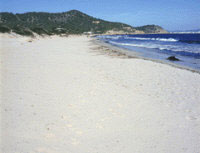 IBIZA, SPIAGGE E NOTTI BRAVE - ibiza cavallet - Gay.it