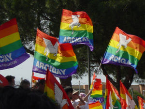 ONU: No Vaticano alla depenalizzazione dell'omosessualità - incharcigay1F4 - Gay.it