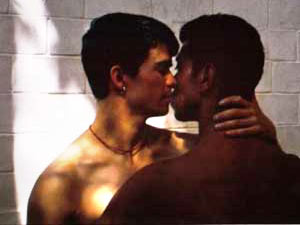 "I BALLERINI? TUTTI GAY" - la cebra02 - Gay.it
