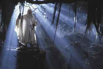 IL SIGNORE DELLE TORRI - Le Due Torri Gandalf - Gay.it