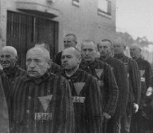 Memoria: in tutta Italia per non dimenticare l'Omocausto - memoria10F9 - Gay.it