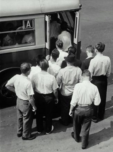 LA LINEA GAY - men bus - Gay.it