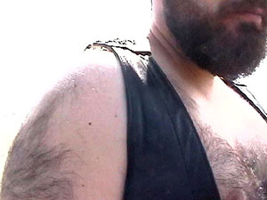 L'IMMAGINE DELL'ORSO AL CINEMA - menfurmen01 - Gay.it
