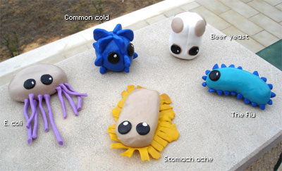 Le malattie sessuali diventano peluche da regalare - microbestogether - Gay.it