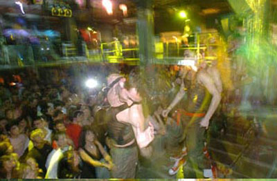 LA MUCCA TORNA ASSASSINA - muccassassina05 01 - Gay.it