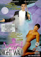 Da stanotte, l'hard gay è su Tele+ - night walk - Gay.it