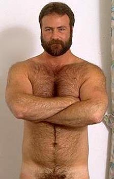 Gay muscolo orso porno