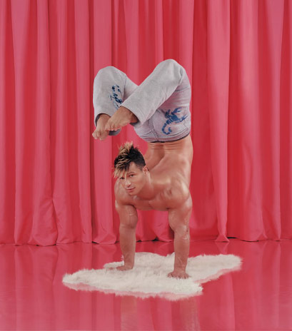 Animali da palestra - palestraF1 - Gay.it