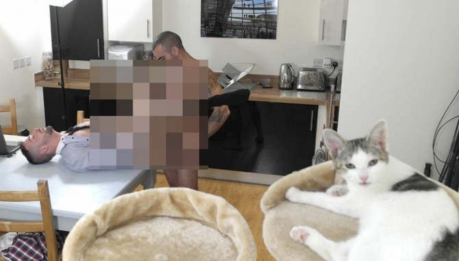 Porno star e i loro gattini: ma quanto sono teneri? [FOTO] - porno star Scott Hunter Damien Crosse gatto - Gay.it