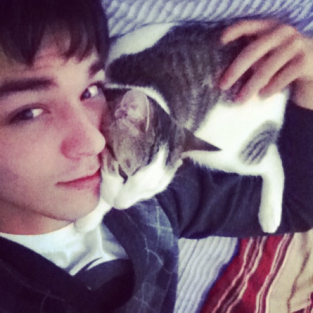 Porno star e i loro gattini: ma quanto sono teneri? [FOTO] - porno star matthew keading gatto - Gay.it