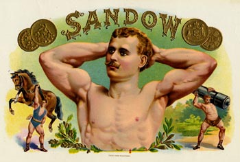 CHE STORIA QUEI MUSCOLI! - proto muscle04 - Gay.it