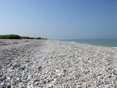 ESTATE: VIAGGIO TRA LE SPIAGGE GAY ITALIANE/3 - scerne di pinetoF6 - Gay.it