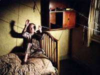 DONNE, RAGNI E PUGILI GAY - Spider - Gay.it