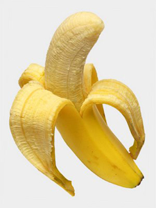 LO SPETTEGAYEZZO N°3 - spettegayezzo3F4 - Gay.it