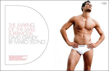 LO SPETTEGAYEZZO N°5 - spettegayezzo5F2 - Gay.it