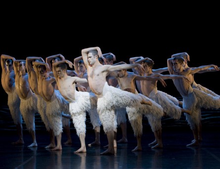 Arriva il "Lago dei cigni" tutto gay - SwanLakeF1 - Gay.it