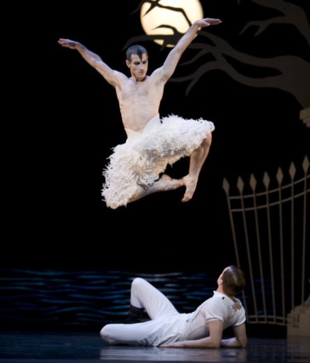 Arriva il "Lago dei cigni" tutto gay - SwanLakeF2 - Gay.it
