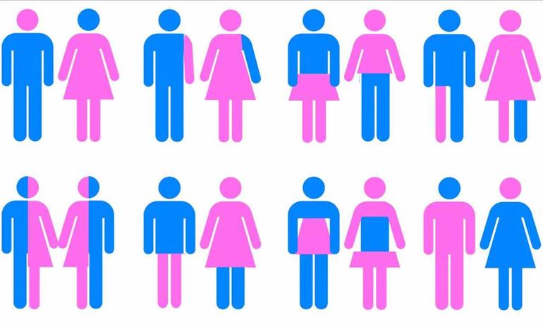 Il ministro Giannini: "La teoria Gender è una truffa culturale" - Teoria del gender - Gay.it