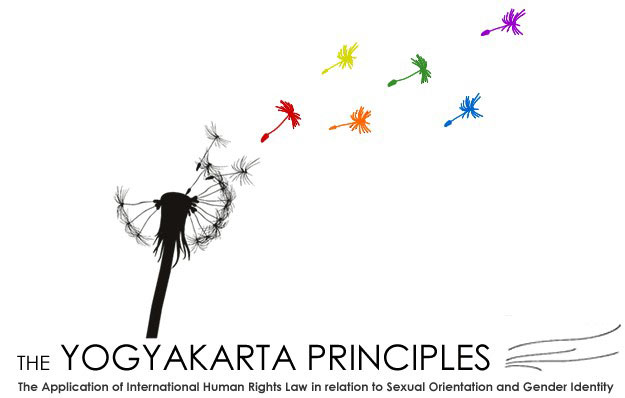L'ONU e i Principi di Yogyakarta - YogyakartaF2 - Gay.it