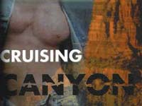 TORRIDO CANYON, NUOVO TEMPIO DEL CRUISING
