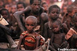 UN PUGNO NELLO STOMACO PASCIUTO DELL’OCCIDENTE