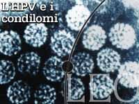 L&QUOT;HPV E I CONDILOMI