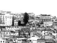 A MISURA DI GAY