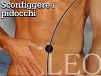SCONFIGGERE LE &QUOT;PIATTOLE&QUOT; - andrologia pidocchi - Gay.it