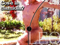 COS’È LA CLAMIDIA?