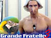 GF3: IL GAY È IL PAPPAGALLO