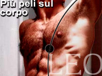 PIÙ PELI SUL CORPO - leo10 5 3 - Gay.it