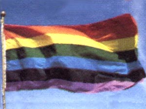 Gay Pride: ecco la storia italiana - rainbow flag05 - Gay.it